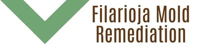 Filarioja Mold Remediation - Mold Services